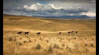 Wind Of The Great Steppe (Aura Of Kazakhstan)