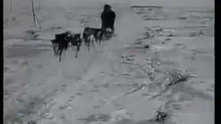 Balto, o cão herói (Newsreel) - 1925