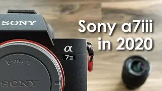 Should You Buy the Sony a7iii in 2020?