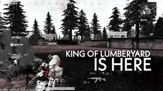 King of lumber yard 😍