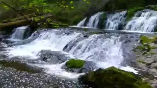 Triple Falls Errington BC 4.17.16