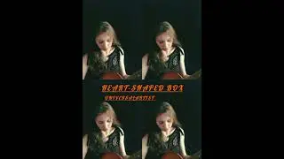 HEART - SHAPED BOX (cover) - Nirvana