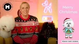 🎄Merry Christmas🎄