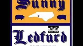sunny ledfurd-i don't remember last night.wmv