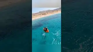 Summer in the Red Sea with Red Sea Explorers