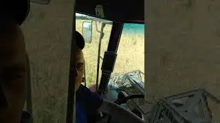 1 августа 2024 г.
