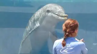 Marineland FL Footage 8/11/19