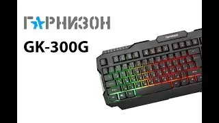 Обзор игровой клавиатуры Гарнизон GK-300G