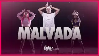 Malvada - Zé Felipe  | FitDance (Coreografia) | Dance Video