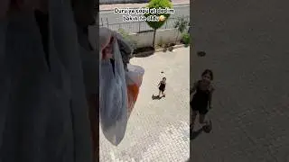 Duru’ya çöpü at dedim bakın ne oldu🤪