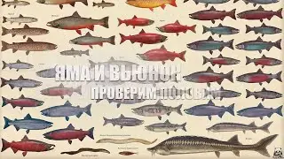 Русская Рыбалка 4 ► Russian Fishing 4 ► Яма и Вьюнок! Стрим Обзор нового водоема!