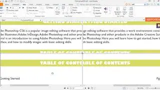 Foxit Reader Split View