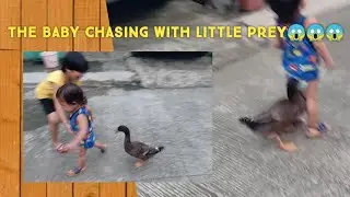 Spoiled Duck strikes the baby😱😱