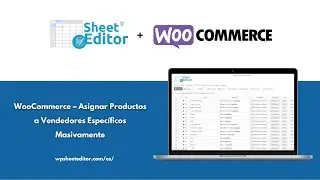 WooCommerce – Asignar Productos a Vendedores Específicos Masivamente