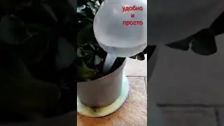 КАПЕЛЬНЫЙ ПОЛИВ....