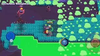 Тимимся в Brawl Stars :з