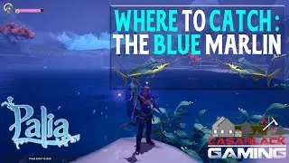 When, Where & How to Catch the Blue Marlin in Palia | 1 Min Guide