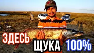 ЩУКА НА ВЕРТУШКУ / С Ночевкой на реке НУРА.