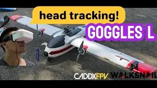 Head tracking! Walksnail goggles L
