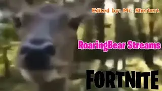 Late night gaming with a gremlin | RoaringBear Streams Fortnite