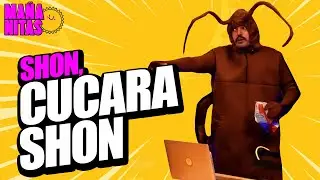 Tenemos cucarachas en el estudio! | Mañanitas ☀️