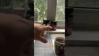 Что там по завтраку сейчас?!