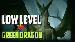 Low Level VS Green Dragon - Dragonheir Silent Gods