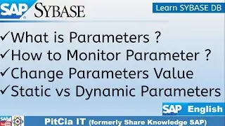 SAP ASE Sybase Parameter Monitoring, Performance Improvement | PitCia IT SAP