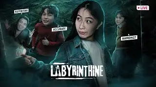live ke 3x - LANJUT LABYRINTHINE WITH @Xccurate @asteriskk6 @Hamdn27