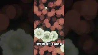 Seu Sistema Imunológico: Como Funciona 🔬💪 #saude #sistemaimunologico #bemestar #imunidade
