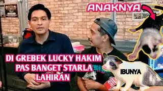 REJEKI KEDATANGAN LUCKY HAKIM ❗❗ STARLA LAHIRAN UNIK DAN RARE
