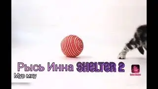 Новая ос и изменение канала