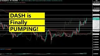 Dash price targets for May 2021 - Dash USD, Dash BTC price prediction May 2021