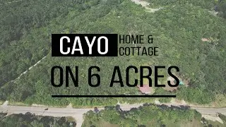 Belize Home & Cottage on 6 acres with Fruit Trees in Cristo Rey