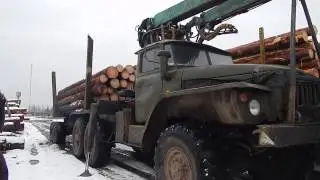 Подвоз древесины для рубки сруба