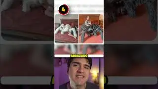 5 IMÁGENES TURBIAS...