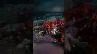 Морская звезда - ресторан для крабов