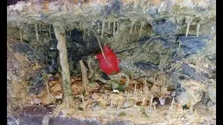 Heart of the Swamp DIORAMA part 1 | resin art | cave
