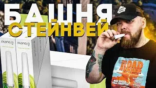 PLONQ PLUS PRO | Просто стиляга