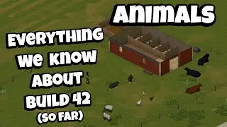 What We Know About Animals