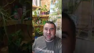 особенный ребёнок 