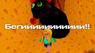 ПОБЕГ ИЗ СЫРА (CHEESE ESCAPE) в ROBLOX
