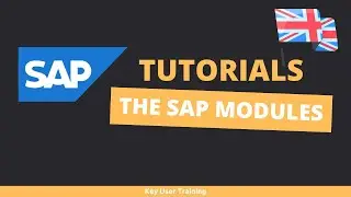 SAP Modules : an asset for your company