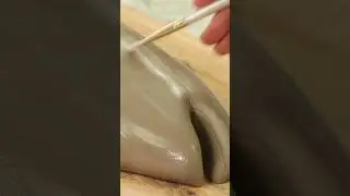 should I cake Nemo?