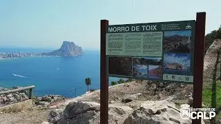 Ruta ornitológica