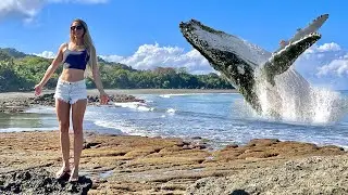 Expect the Unexpected, RARE Whale Encounter! Happiest Day of my Life