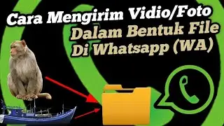 Begini Cara Mengirim Foto/Vidio Di Whatsapp Agar Tidak Buram