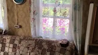 Моя лучшая Соседка по даче , женился бы !)))