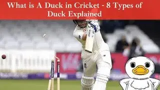 What are the different types of ducks in cricket?