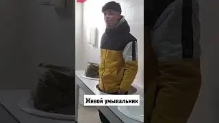 живой умывальник,